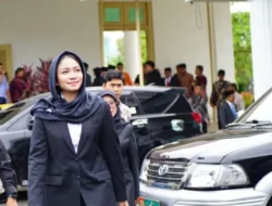 One Village One Product (OVOP): Langkah Strategis Pemerintah Dharmasraya Mengembangkan Ekonomi Desa