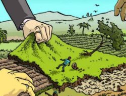 Zulkifli Hasan Ingatkan Pemerintah Daerah untuk Lindungi Lahan Sawah