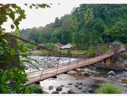 Dari Kolonial ke Ekowisata: Transformasi Jembatan Tua di Batu Busuk