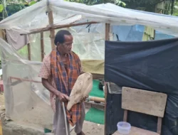 Di Balik Gubuk Plastik: Kisah Pilu Zainal Arifin yang Menolak Menjadi Beban