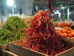 Harga Cabai dan Sejumlah Komoditas Pangan Turun di Pekan Kelima April 2025