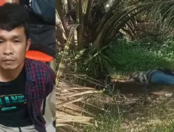 Kurang dari 24 Jam, Polisi Ungkap Pembunuhan Dua Wanita di Solok Selatan: Diduga Motif Ekonomi