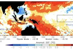 BMKG: Musim Kemarau 2025 Datang Telat dan Lebih Pendek