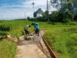 Jalan Usaha Tani Diperbaiki, Petani Jorong Jambu Makin Mudah Angkut Hasil Panen