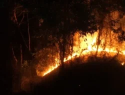 Kebakaran Lahan di Tanah Datar Meluas, 30 Hektare Terbakar Akibat Musim Kemarau