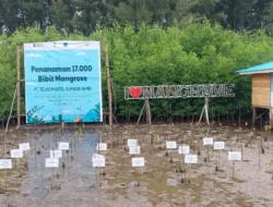 Telkom Tebar 17 Ribu Bibit Mangrove di Kawasan Desa Wisata Ampiang Parak Pesisir Selatan