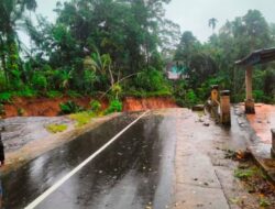 Hujan Ekstrem, Sejumlah Jalan di IV Koto Aur Malintang Putus Akibat Longsor