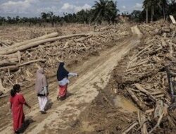 Korban Banjir Bandang dan Longsor di Sumatra Tembus 1.016 Jiwa