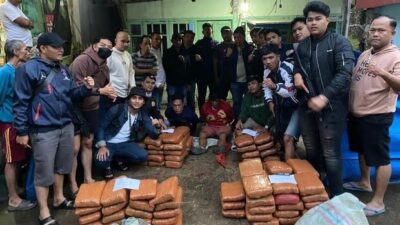 BNNP Sumbar Gagalkan Peredaran 100 Paket Ganja di Agam, Tiga Orang Ditangkap