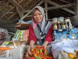 Harga Bahan Pokok Jawa Timur Stabil, Cabai dan Pupuk Non-Subsidi Picu Waspada Inflasi