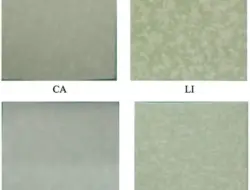 BRIN Kembangkan Pelapis Kertas Berbasis Lemak Nabati, Solusi Kemasan Makanan Tanpa Plastik