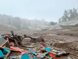 Longsor Cisarua Bandung Barat, Menteri LH Turunkan Tim Ahli untuk Kajian Lingkungan Berbasis Sains