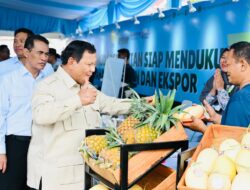 Presiden Prabowo Tinjau Teknologi Pertanian Otonom dan Hilirisasi Gambir saat Panen Raya di Karawang