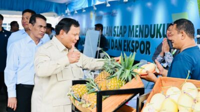 Presiden Prabowo Tinjau Teknologi Pertanian Otonom dan Hilirisasi Gambir saat Panen Raya di Karawang