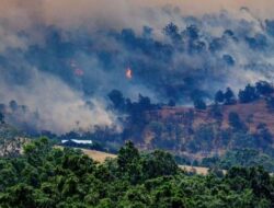 Kebakaran Hutan Terparah Sejak 2019, Australia Tenggara Dilanda Darurat