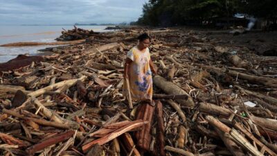 Prabowo Cabut Izin 28 Perusahaan Perusak Hutan, 8 Beroperasi di Sumatra Barat