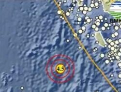 Gempa M 4,5 Guncang Mentawai Pagi Ini, BMKG: Tidak Berpotensi Tsunami