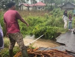 Jalan Penghubung Dua Nagari di Patamuan Padang Pariaman Amblas Akibat Hujan Deras, Warga Bangun Jembatan Darurat