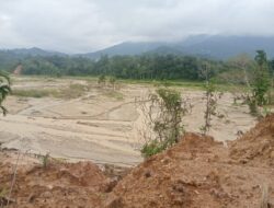 Lobi Bupati John Kenedy Azis Tembus Kementan, Rp12,5 Miliar Digelontorkan untuk Pulihkan Sawah Terdampak Bencana di Padang Pariaman