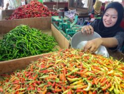 Harga Cabai Rawit Merah di Pasar Induk Pare Kediri Tembus Rp95 Ribu, Naik Rp67 Ribu dalam Sehari