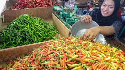 Harga Cabai Rawit Merah di Pasar Induk Pare Kediri Tembus Rp95 Ribu, Naik Rp67 Ribu dalam Sehari